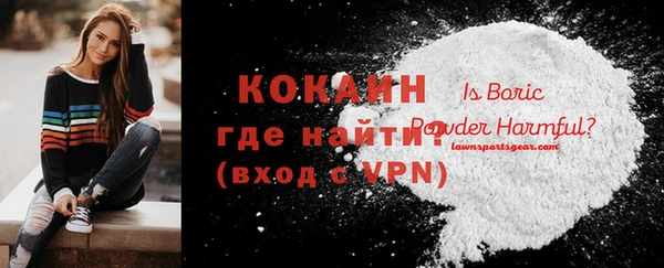 прущие грибы Баксан